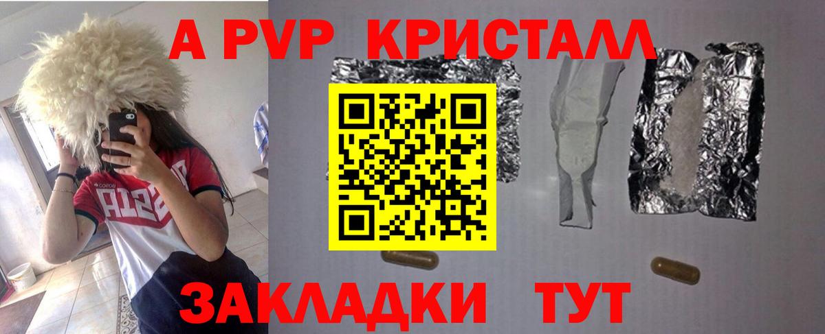 A PVP СК КРИС Мичуринск