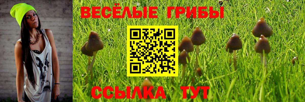 Псилоцибиновые грибы прущие грибы  Галлюциногенные грибы мухоморы  Вход с VPN  Мичуринск 