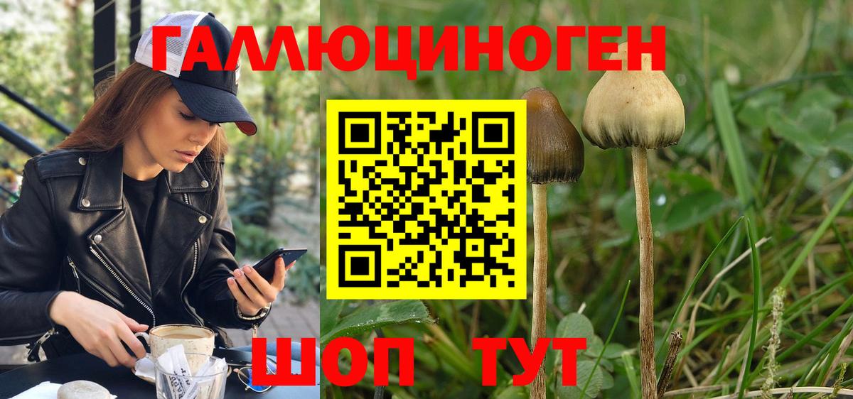 Псилоцибиновые грибы прущие грибы Мичуринск